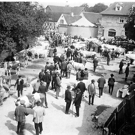 Ox Hotel Heitersheim Exterior foto